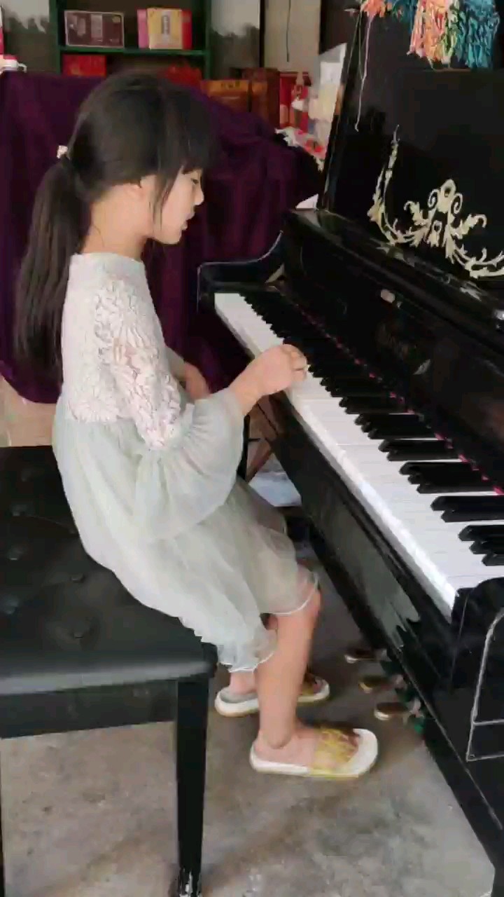 森林波尔卡