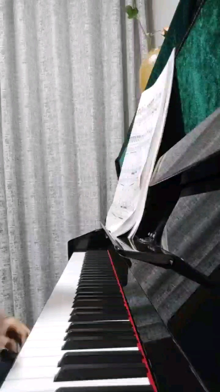 这个曲子好听的🌝👍