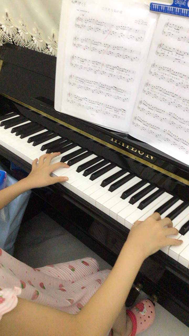 白月光与朱砂痣 - 完美C调简单版