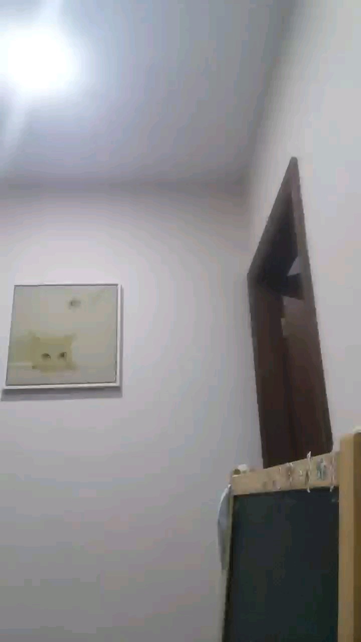 买辣椒也用券《起风了》极限还原版（Cuppix编配）