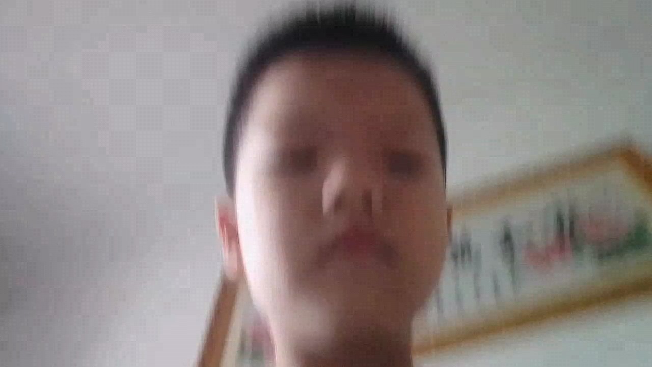 千本樱 (千本桜)【独奏】- 初音ミク -