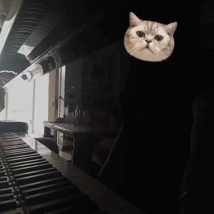 很喜欢这首曲子，谱子是花钱买的