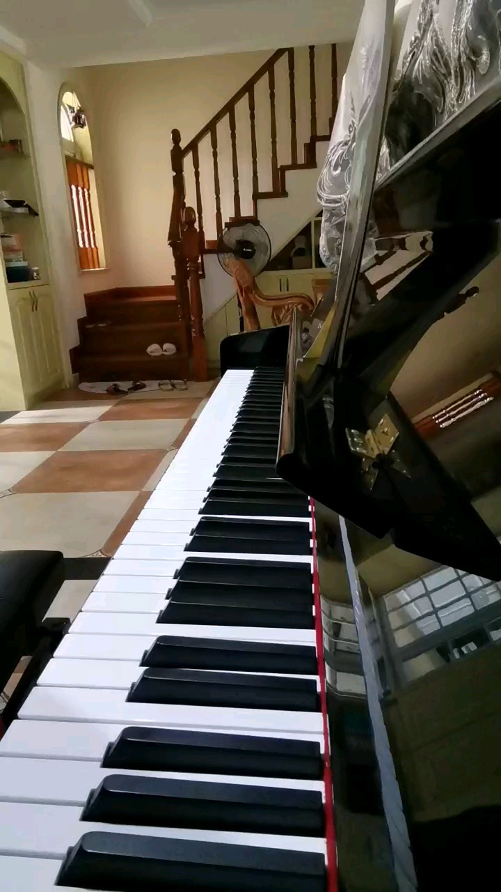 乱跑
