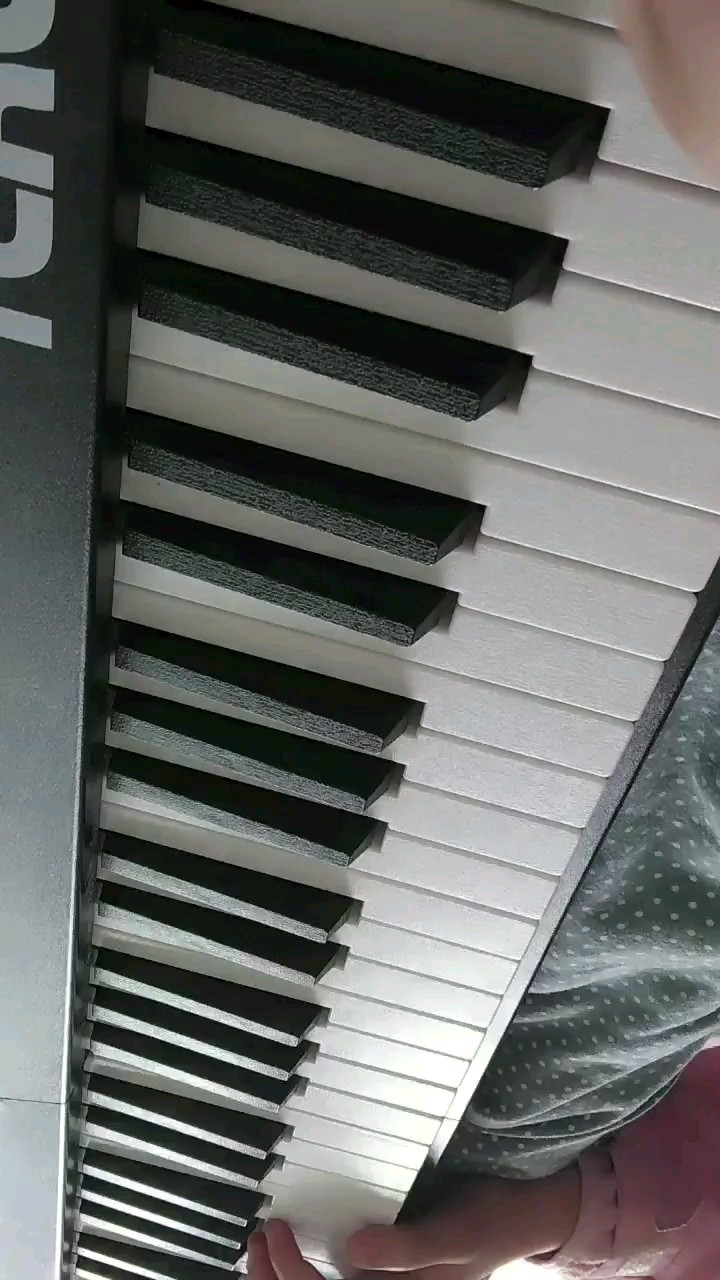 新人弹的。