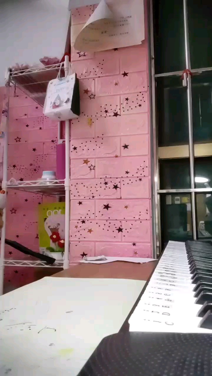 减肥的猪猪侠