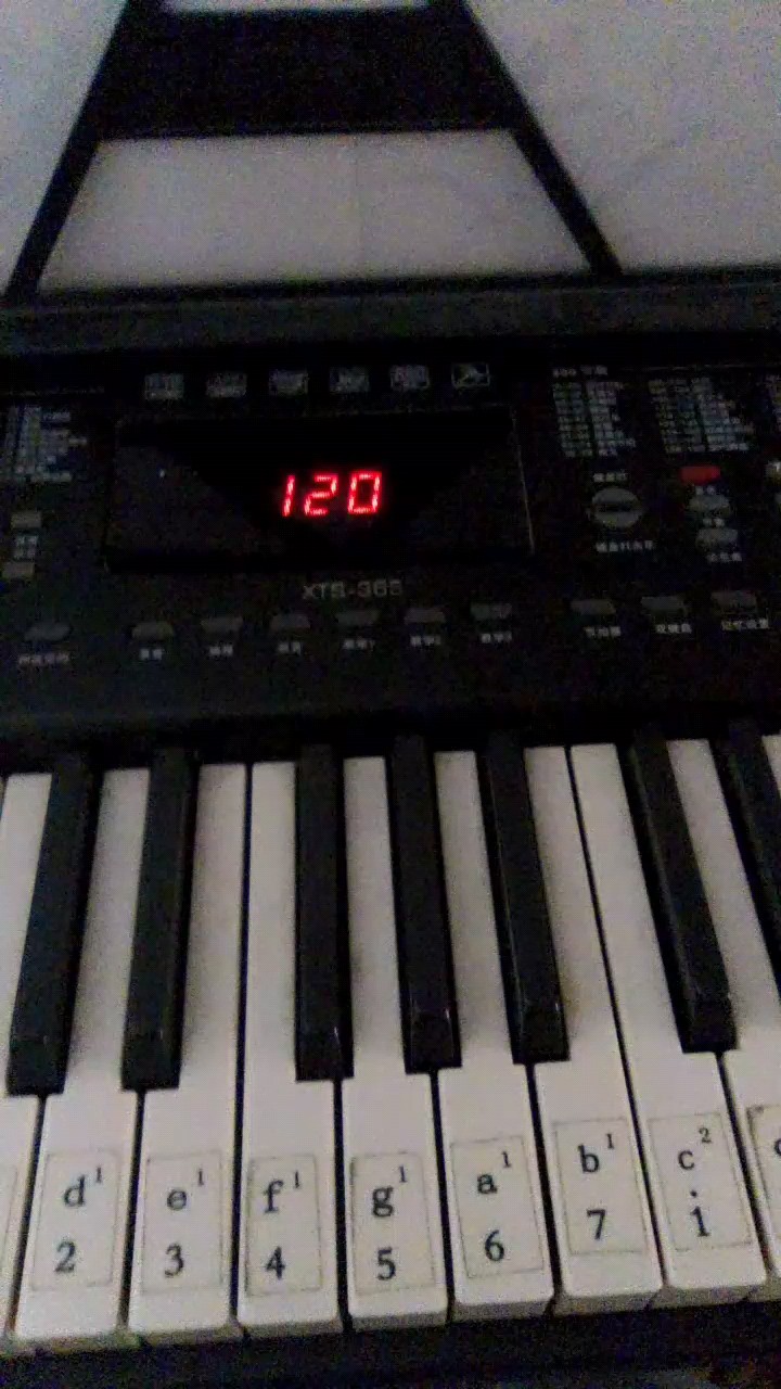 弹的不好，有些错的，不喜勿喷