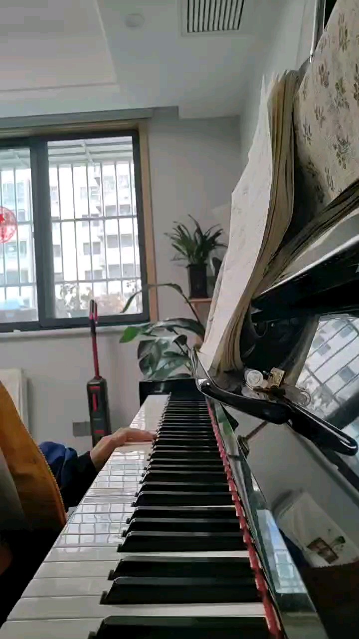圆头圆脑圆屁股😘😘
