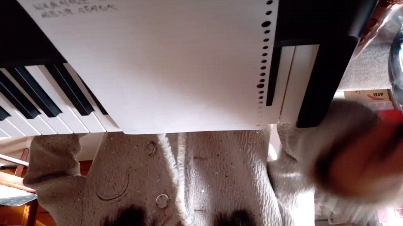 弹琴弹的不好，给大家唱个歌，顺便完成个任务，学习机音质不好，高音会劈😊#发疯#唱歌