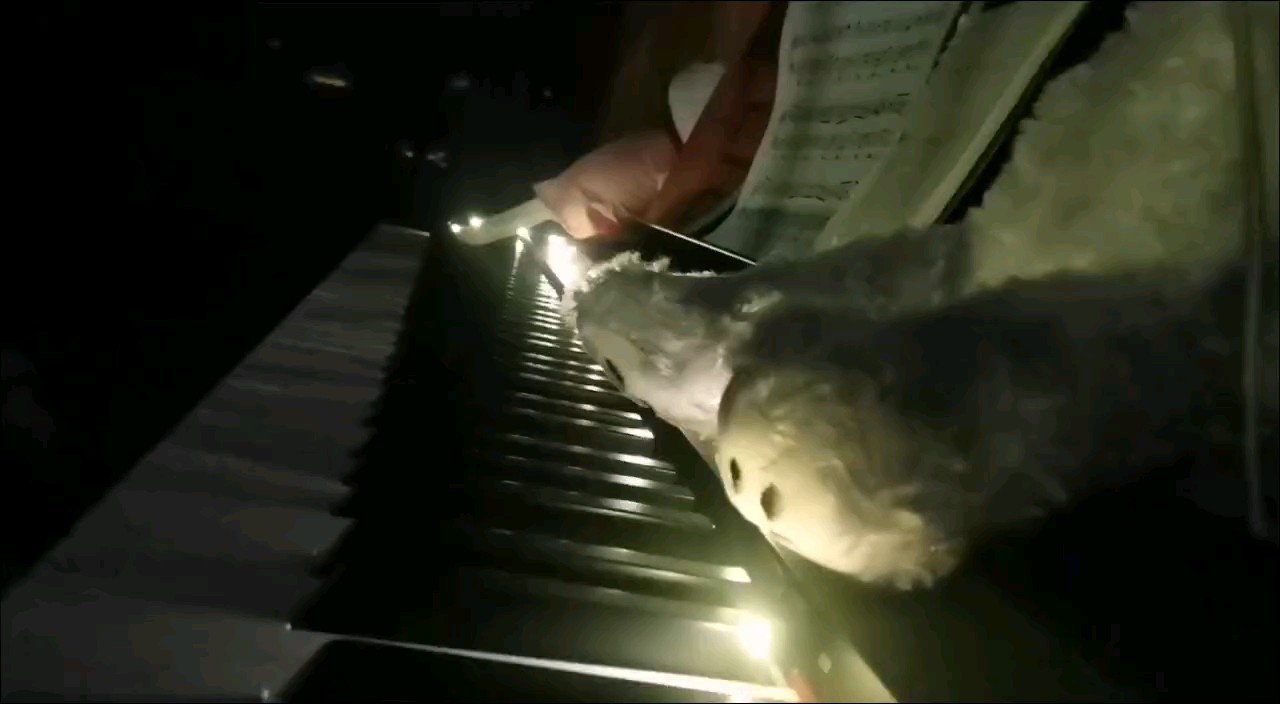 好听