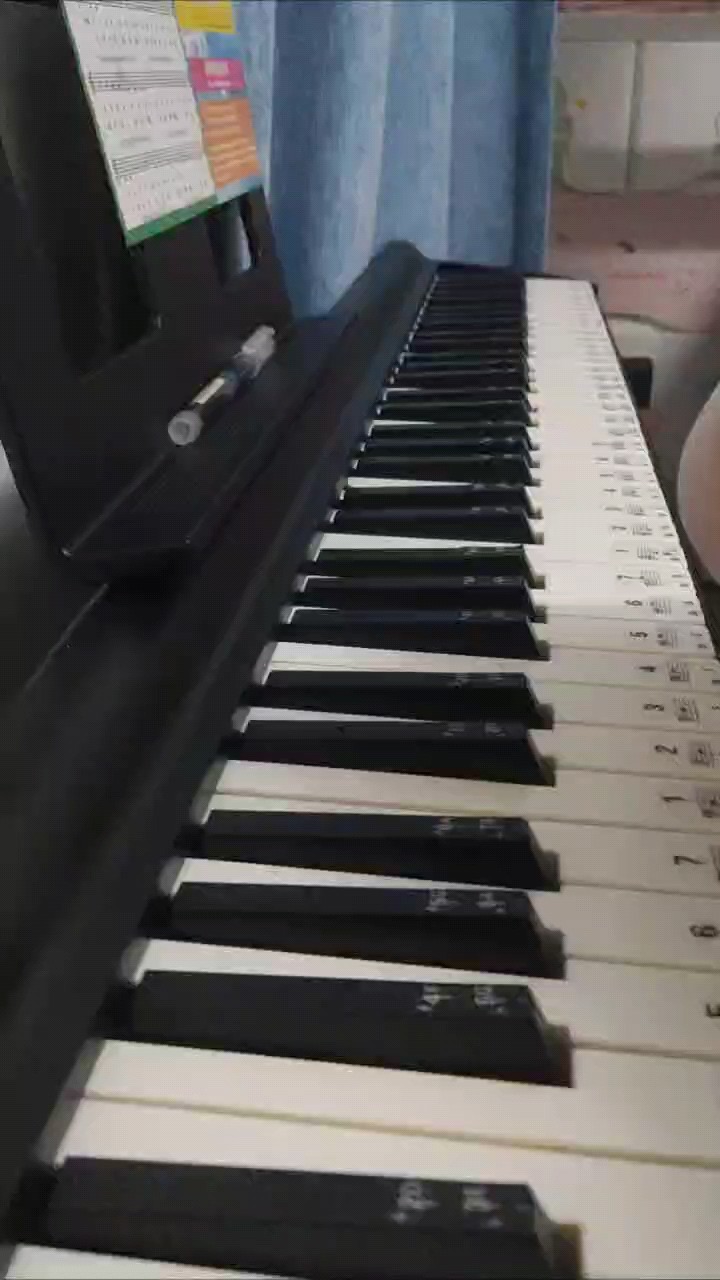 我的生活小日常