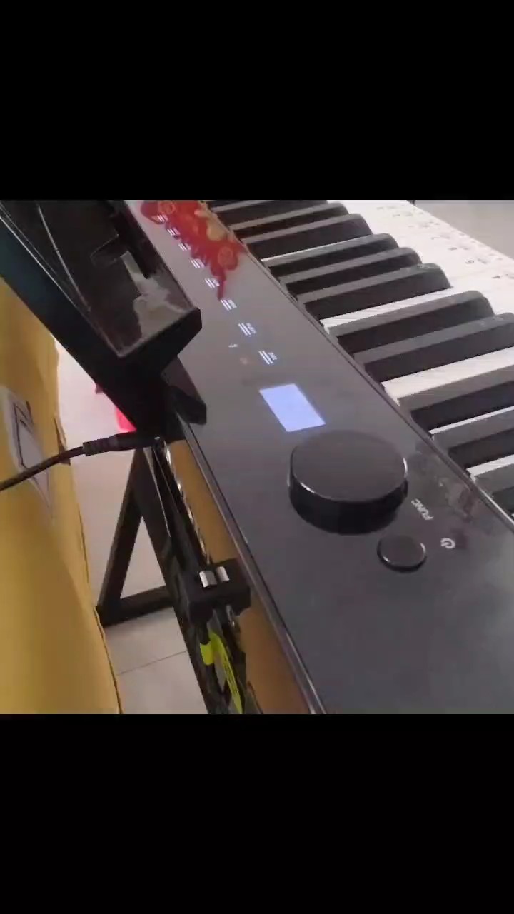 鲨鱼宝宝(●✿∀✿●)