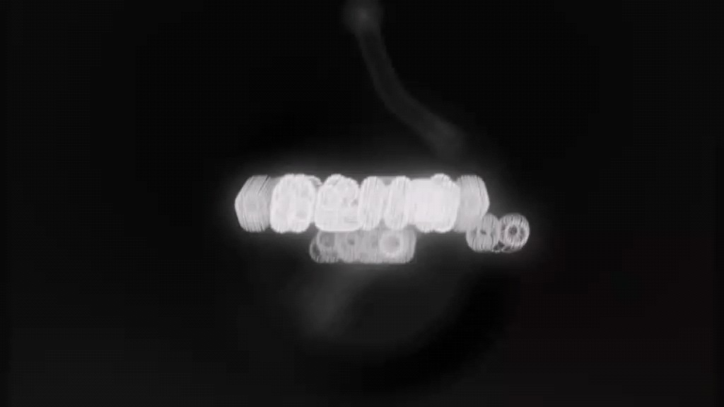 不评价(´,,•ω•,,｀)♡