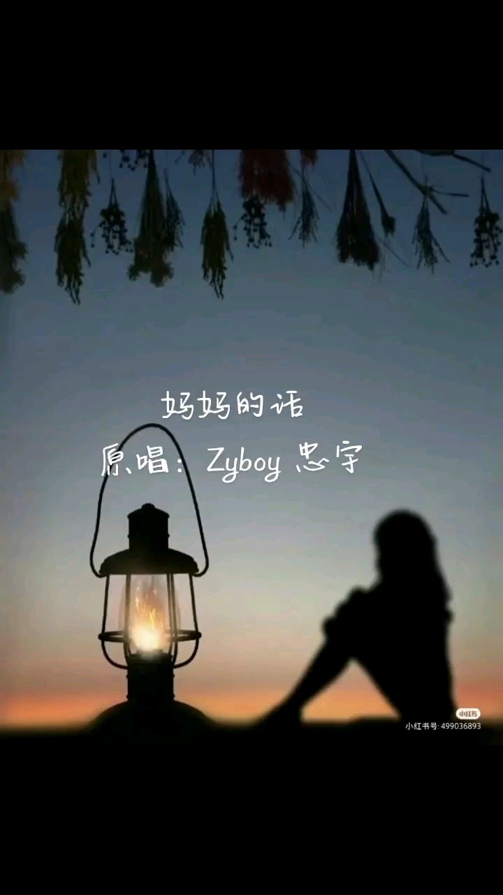 原唱：Zyboy 忠宇