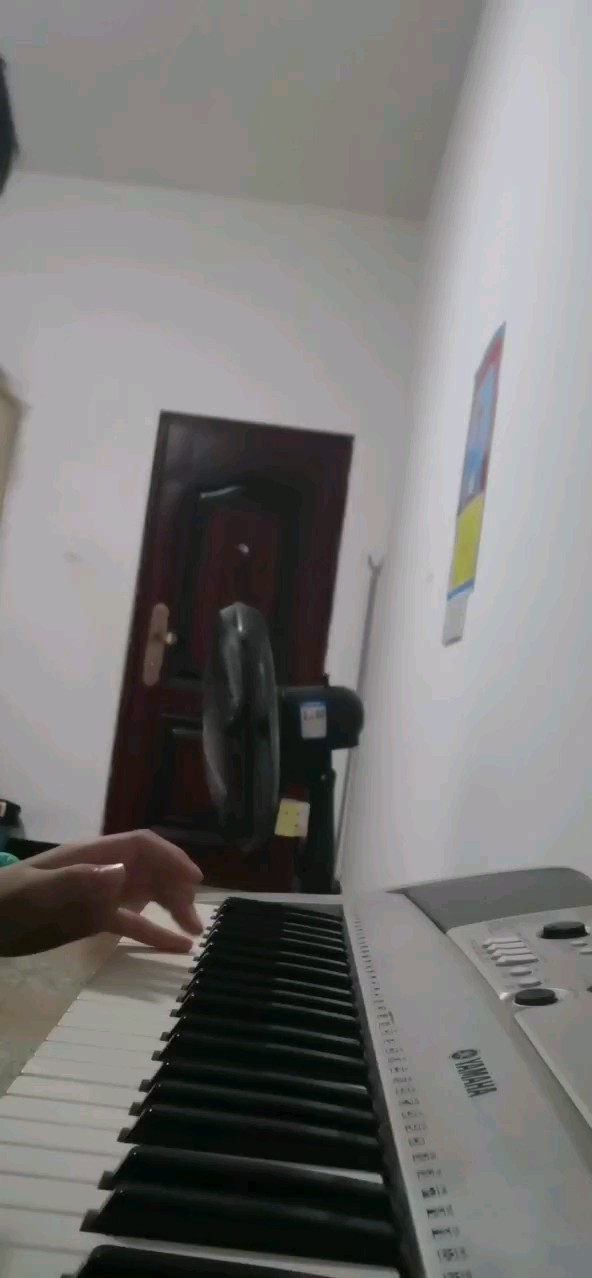 《画》练习第35天