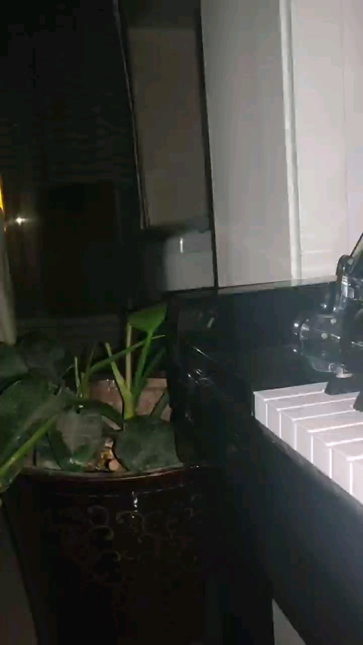 让我们在跨年那天牵手吧