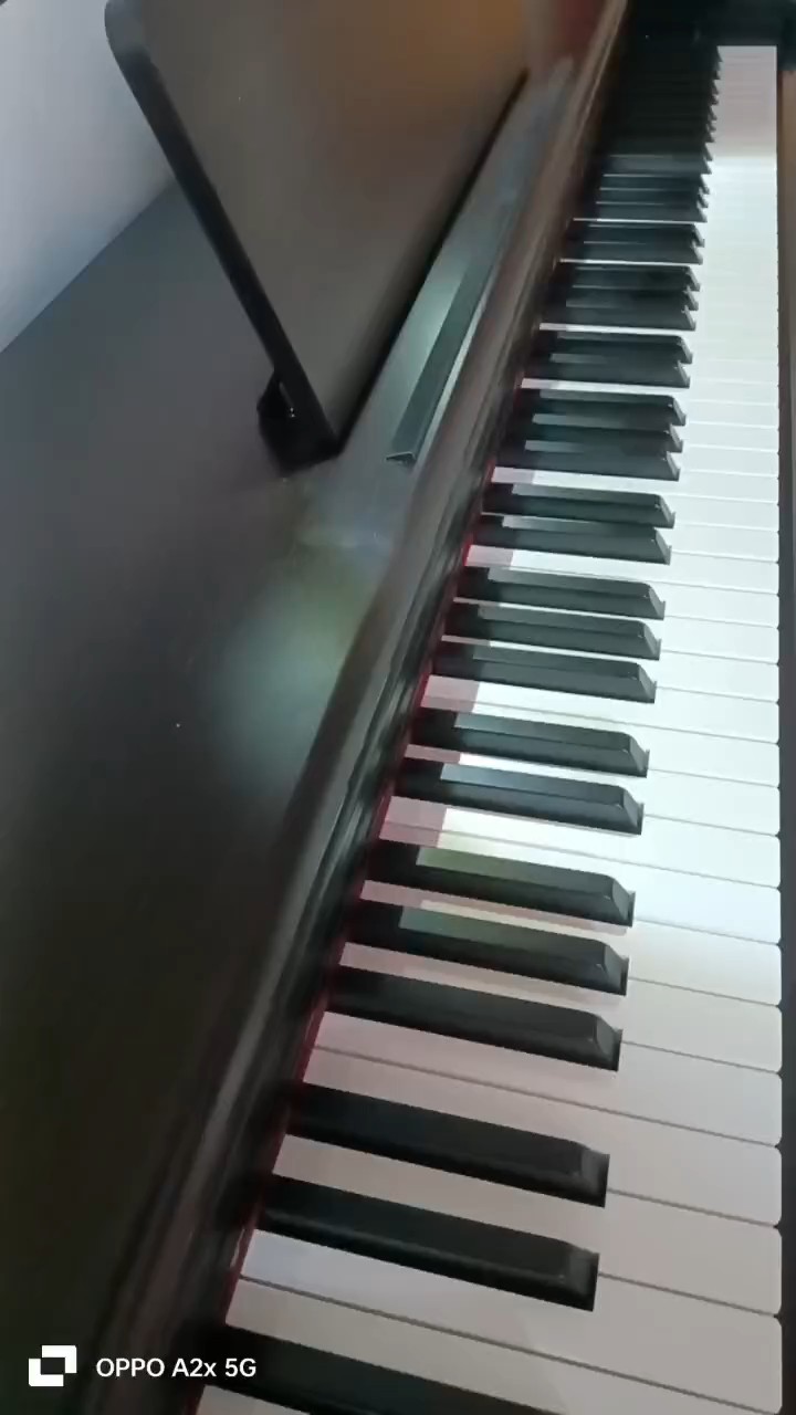 自己在家自学钢琴半年，第一首学会的歌