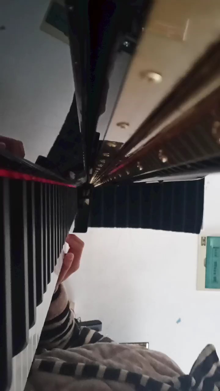 大鱼片段