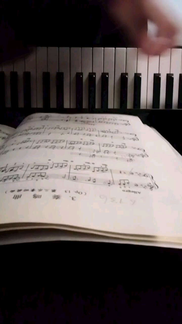 奏鸣曲op.13(第三乐章回旋曲)贝多芬
