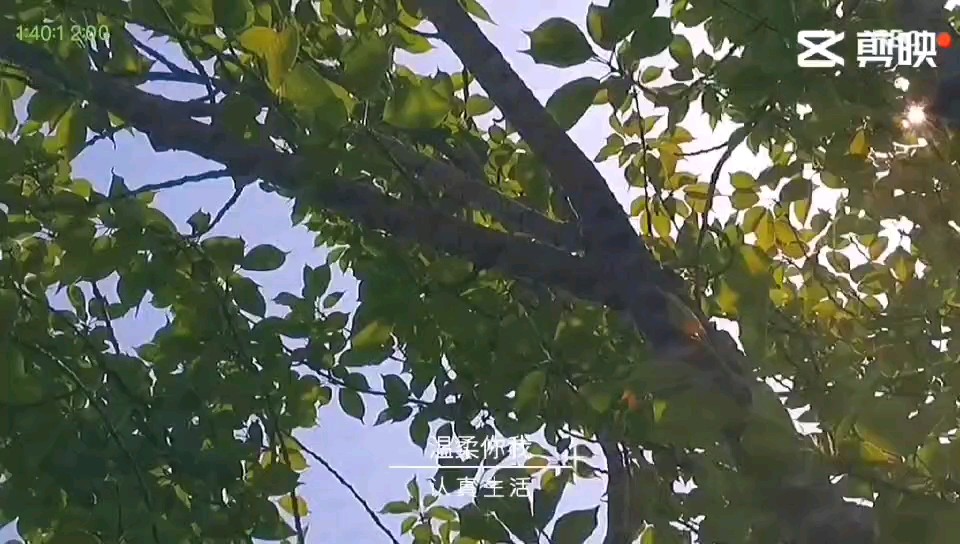 春日序曲🌻