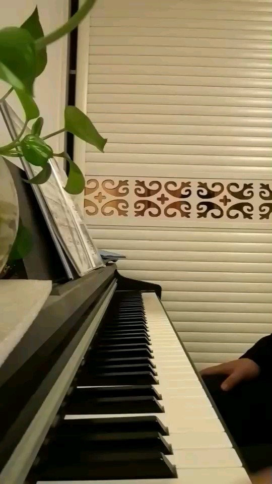 业余勿喷