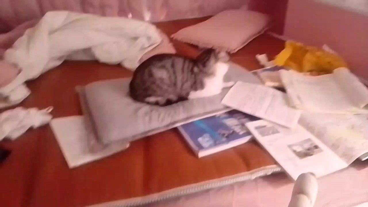 凸
