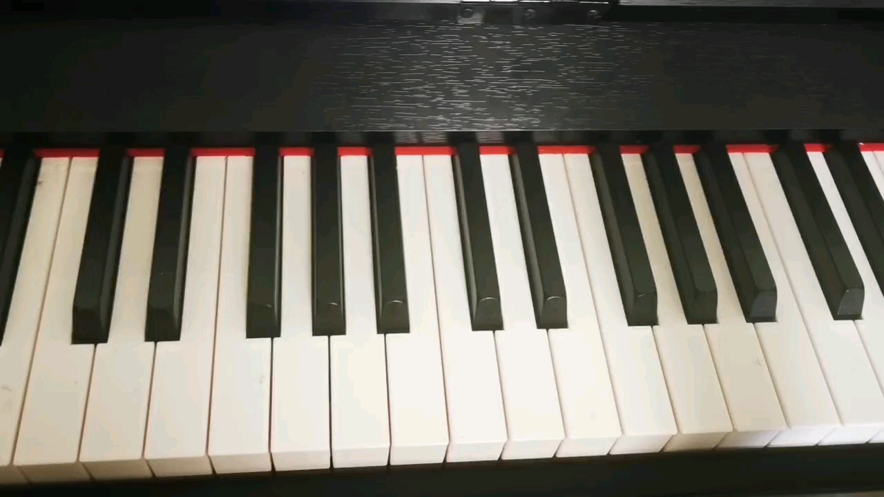 夜萤火虫和你