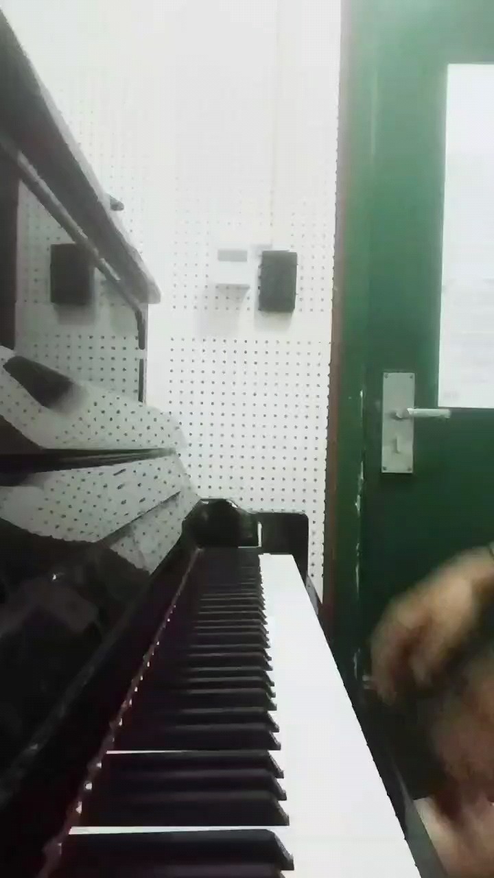 #钢琴#乱弹