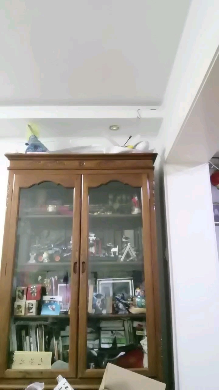剛滿十一歲