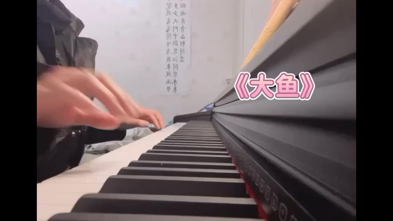 初学钢琴🎹