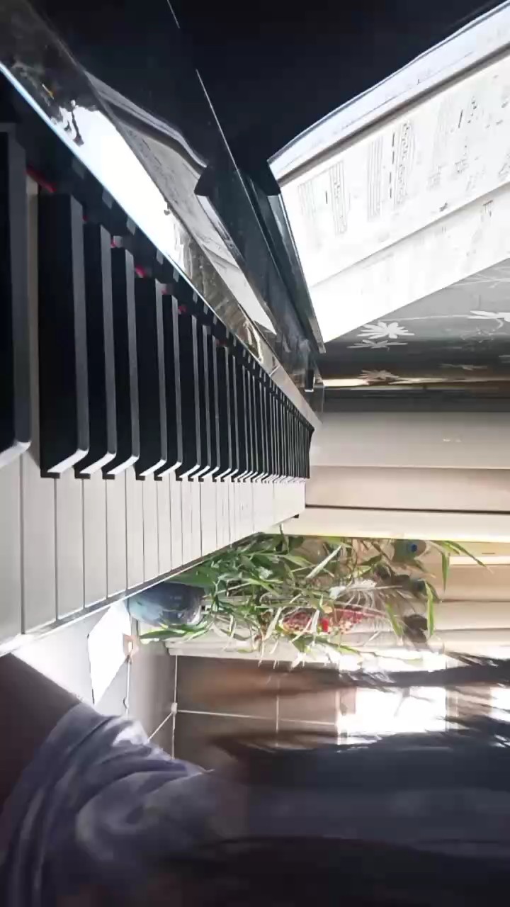 我练了好久才练成这样子的成果