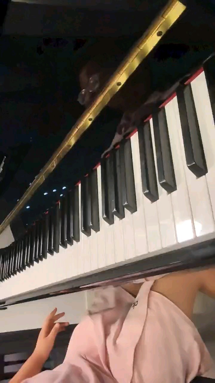 有一处不是很清楚去原谅。