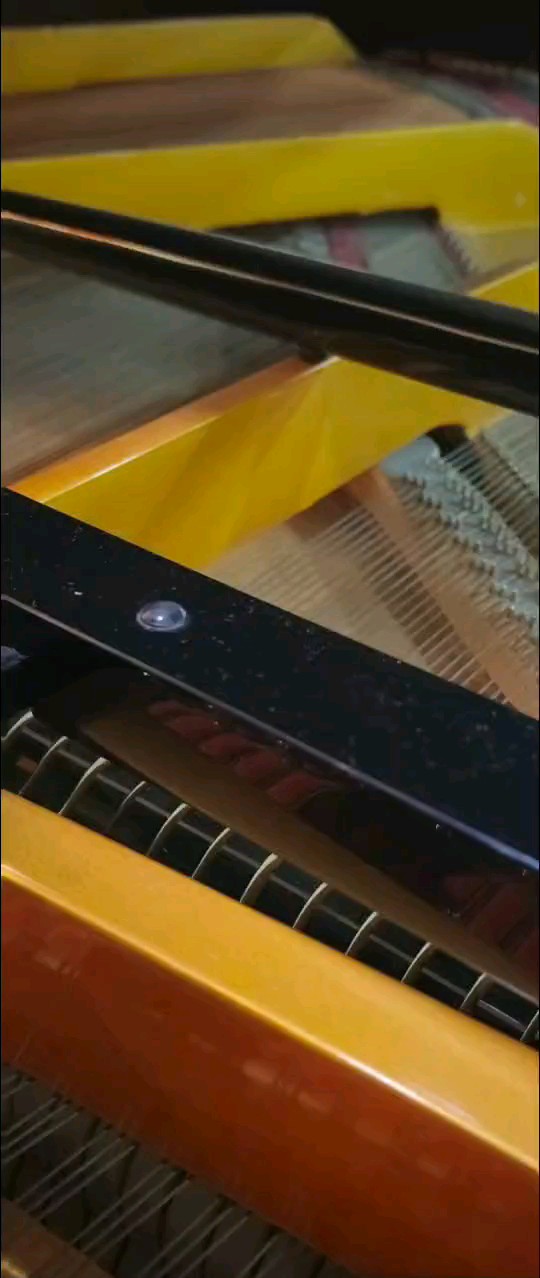 🎹🎼🎵🎶🕊🍃💃🏻🌪傻女💃🏻🌸🌪🌸🌪🎶🌸🎶🌸🎶🌸🎶 ٨ـﮩﮩ٨ـ♡‎‎ﮩ٨ـﮩﮩ٨ꪔ̤̱੯‧̀͡₎᭄ྀི🍃