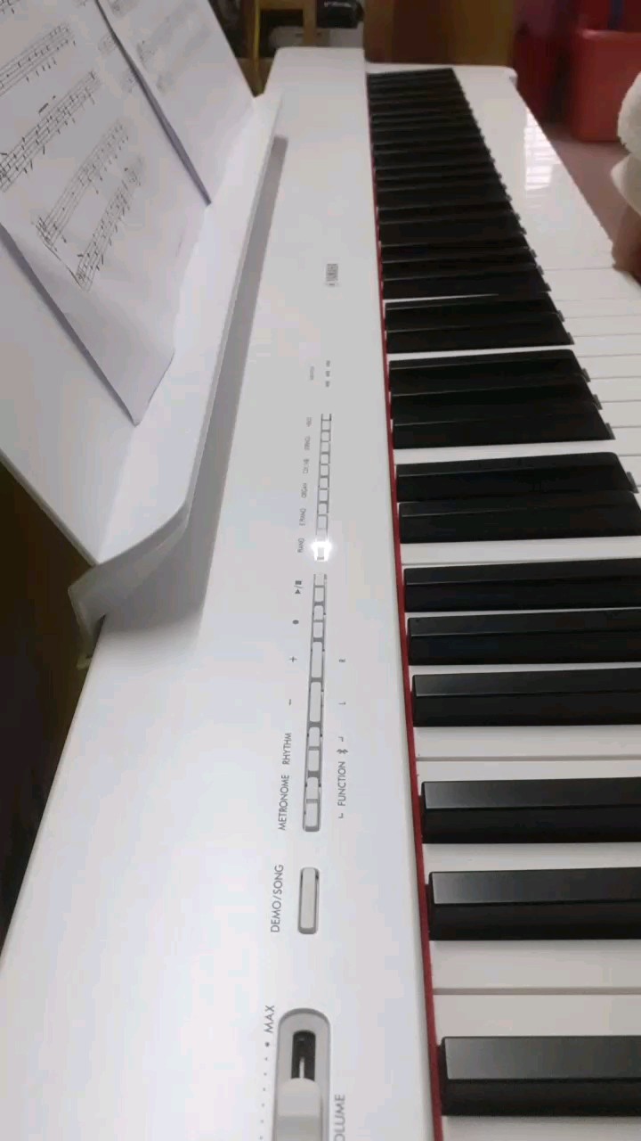 一只小菜鸟啦