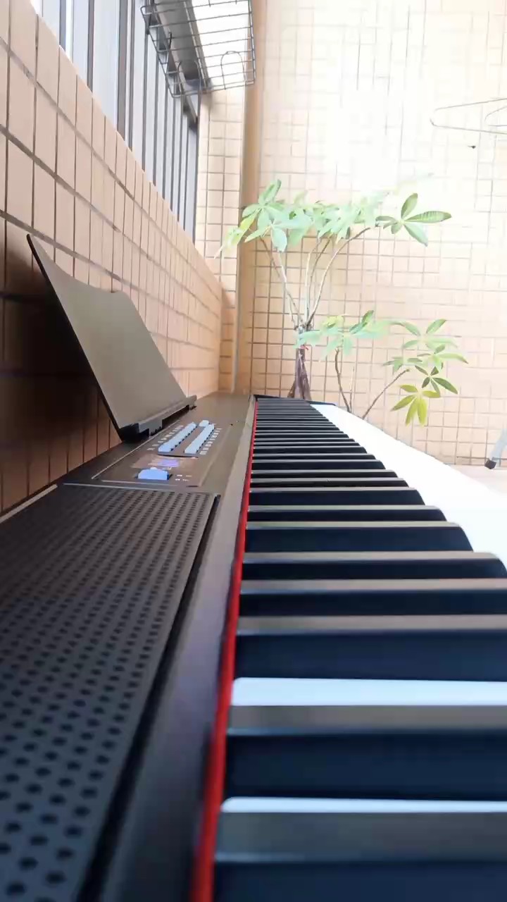 要是不火，我真的无语了