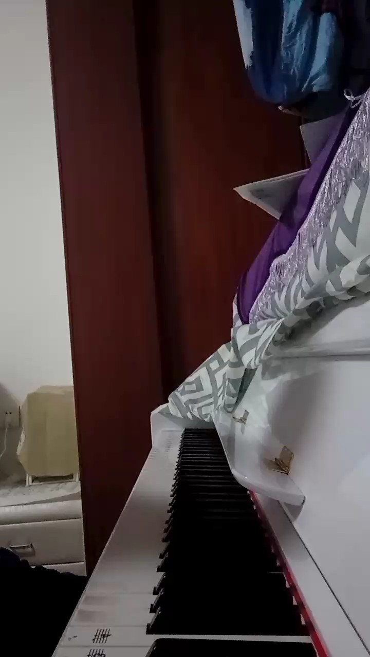 亡灵序曲—The Dawn C调简易版