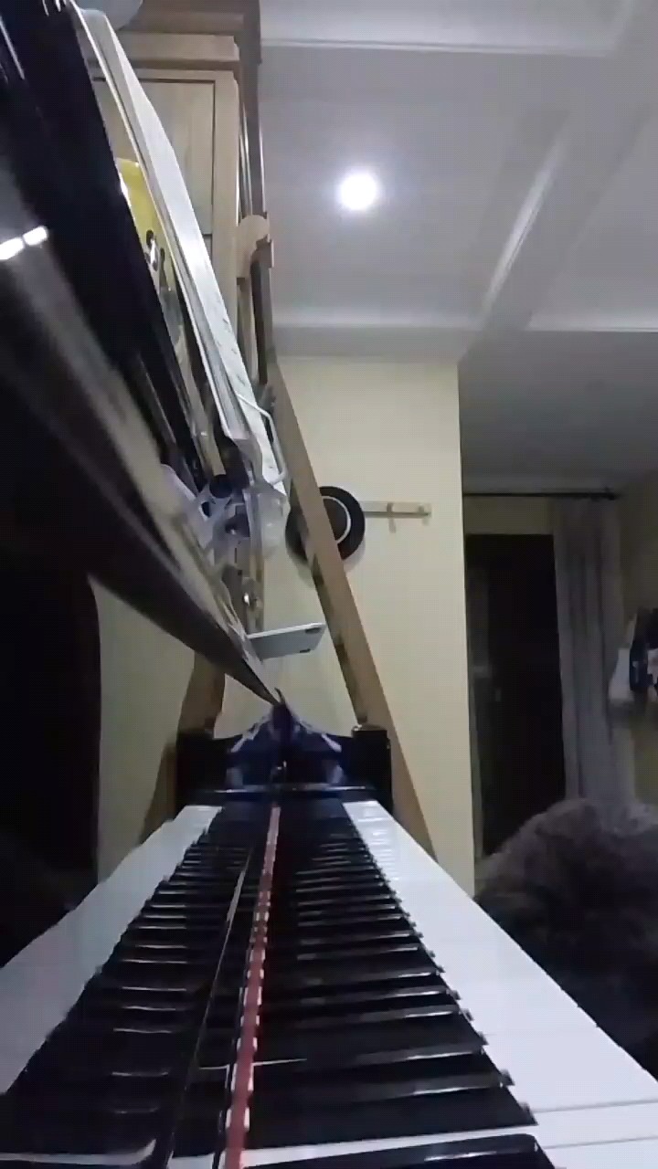 刚学的，有些错音，喷轻点🙏🙏🙏把我家狗狗抱来给大家看一眼