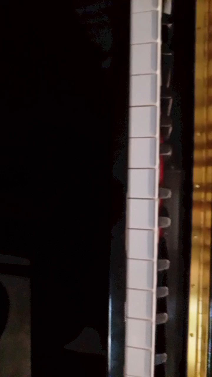 第一次弹琴，尽努力了，谢谢