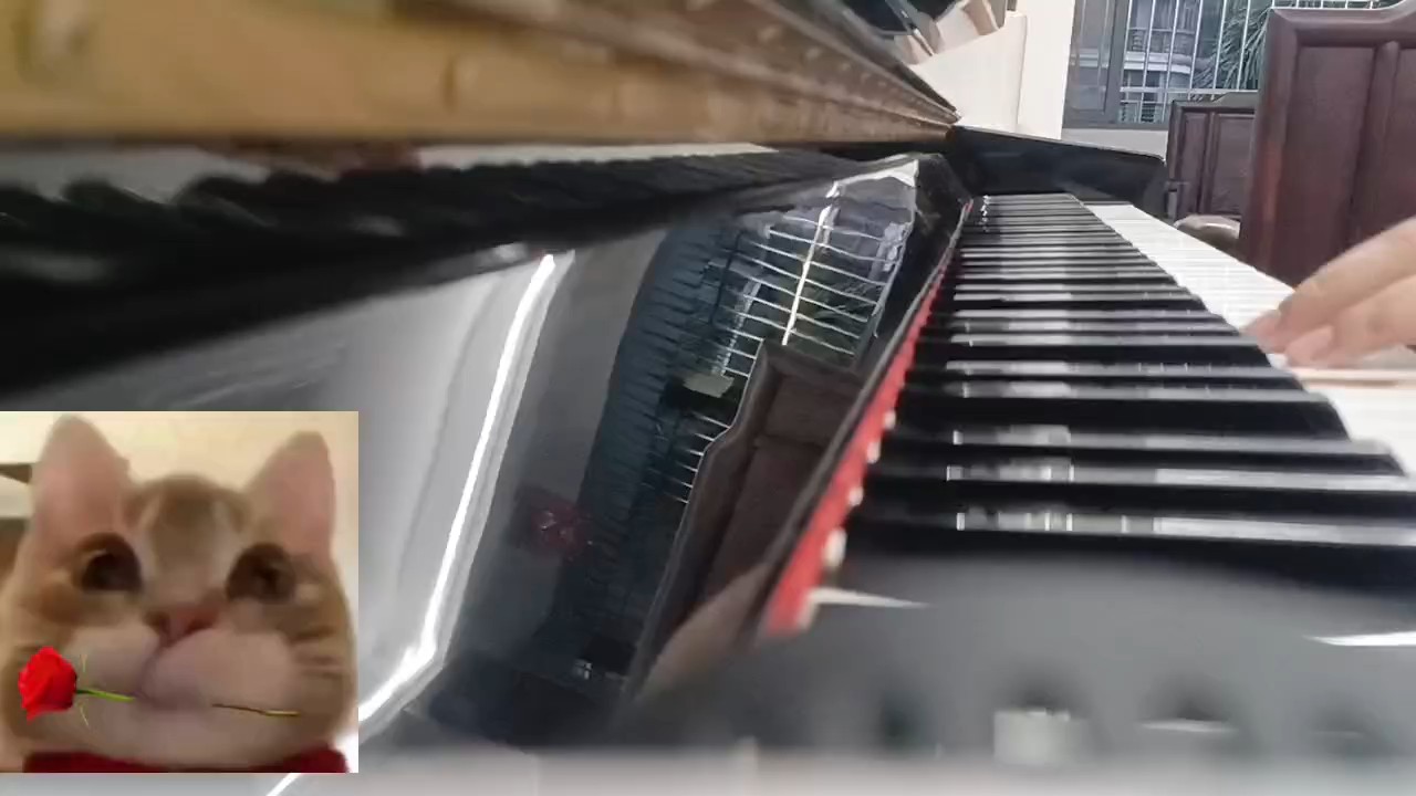 随便练练😁😁😁