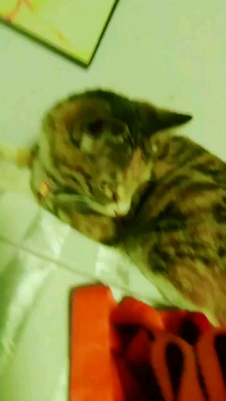 HULULU(3D) :: Behance, image size:720x1280