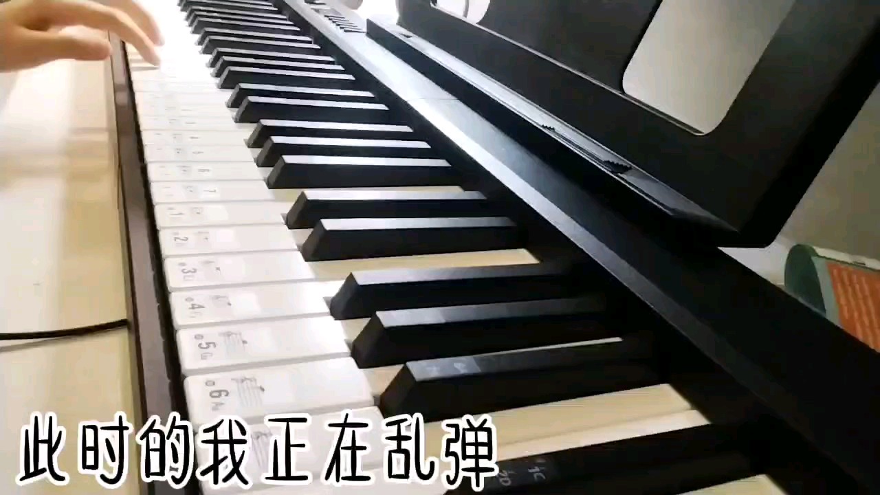 我应该算半个二级吧，因为老师叫我三级在考级，最近正在挑战三级的爱丽丝