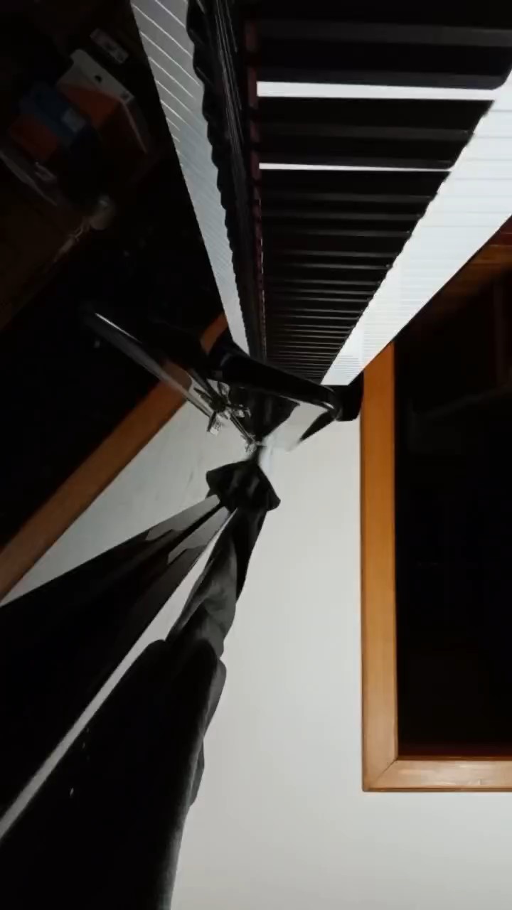 弹得不怎么好，勿喷🍀