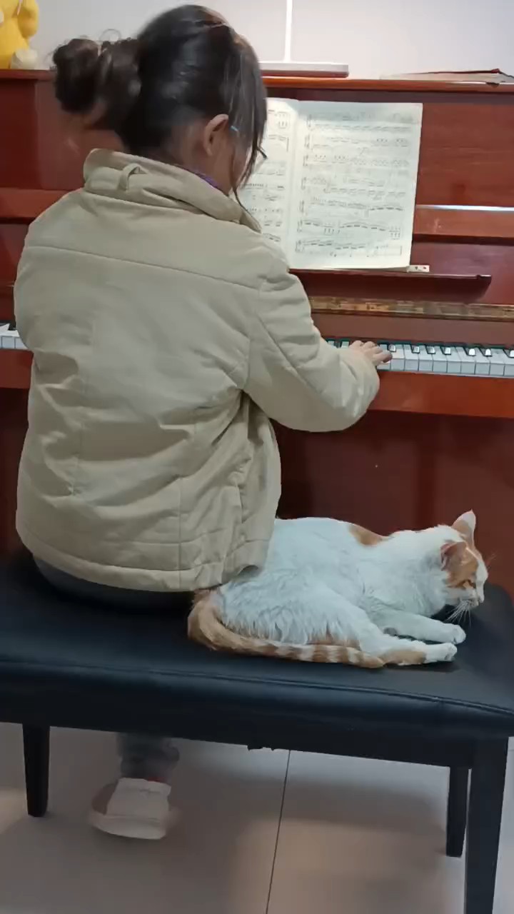 刚捡回一只流浪猫，和我很亲，超开心的