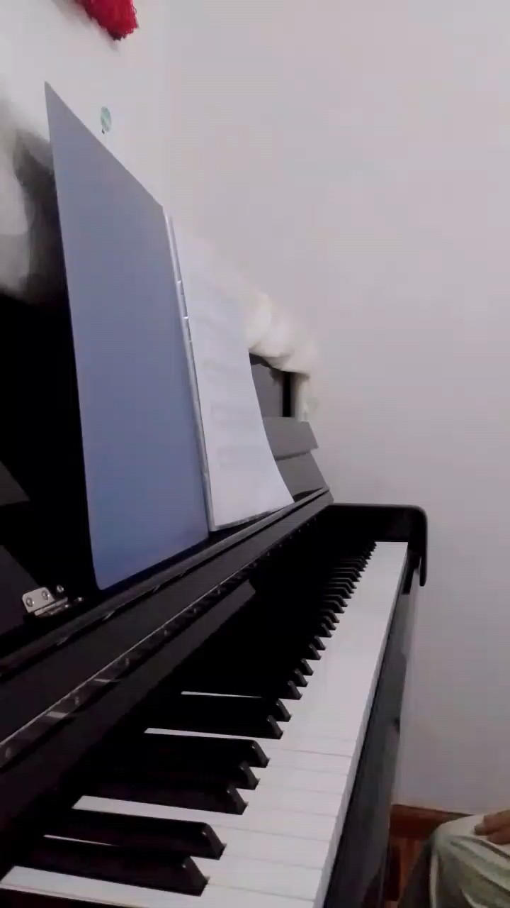 有点一错音，谅解一下~