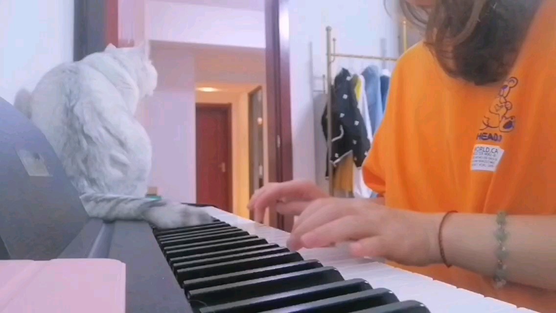自学第一首