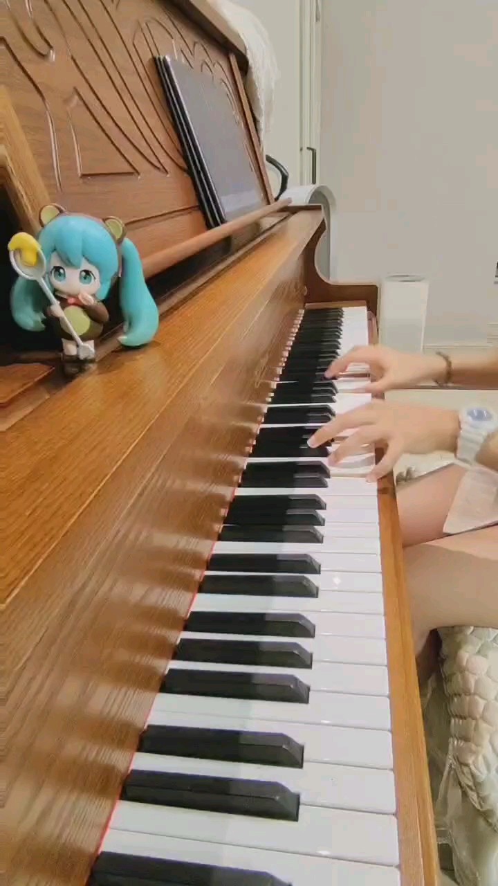 练琴日常
