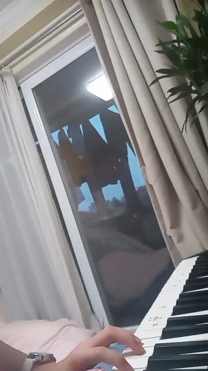 乱弹