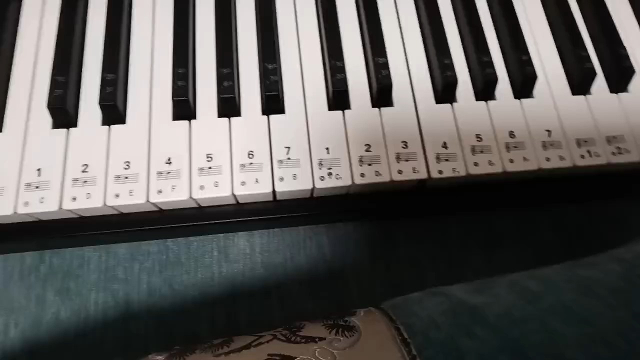 不喜匆喷，第一次发视频，有亿点紧张，请大佬们多多指教^O^♥