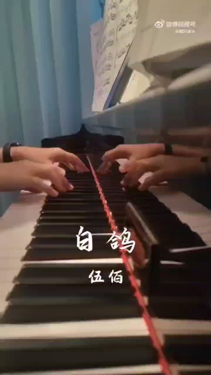 纵然带着永远的伤口，至少我还拥有自由