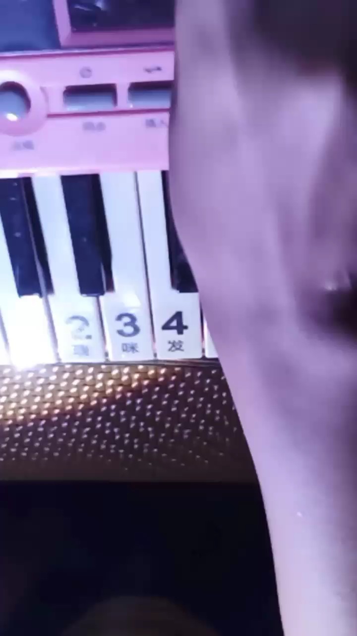 拿小乌龟🐢弹的，本来有点暗，加了个手电🔦弹的不咋好👉👈