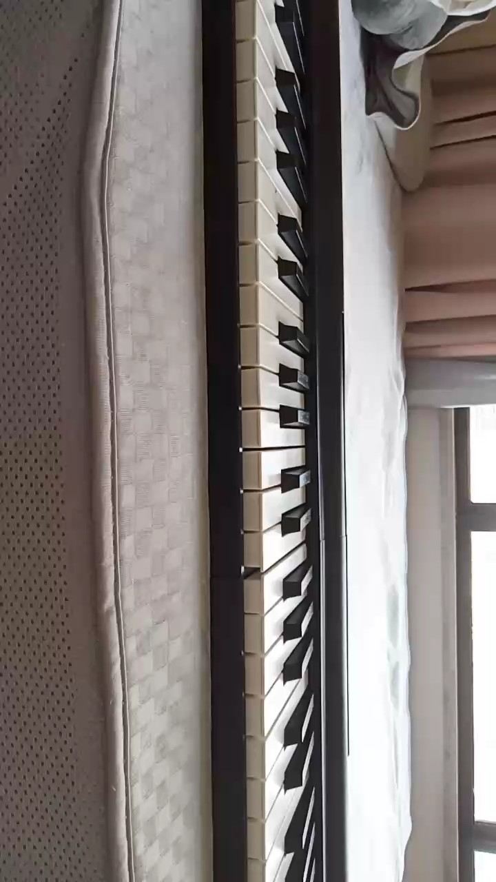 新手